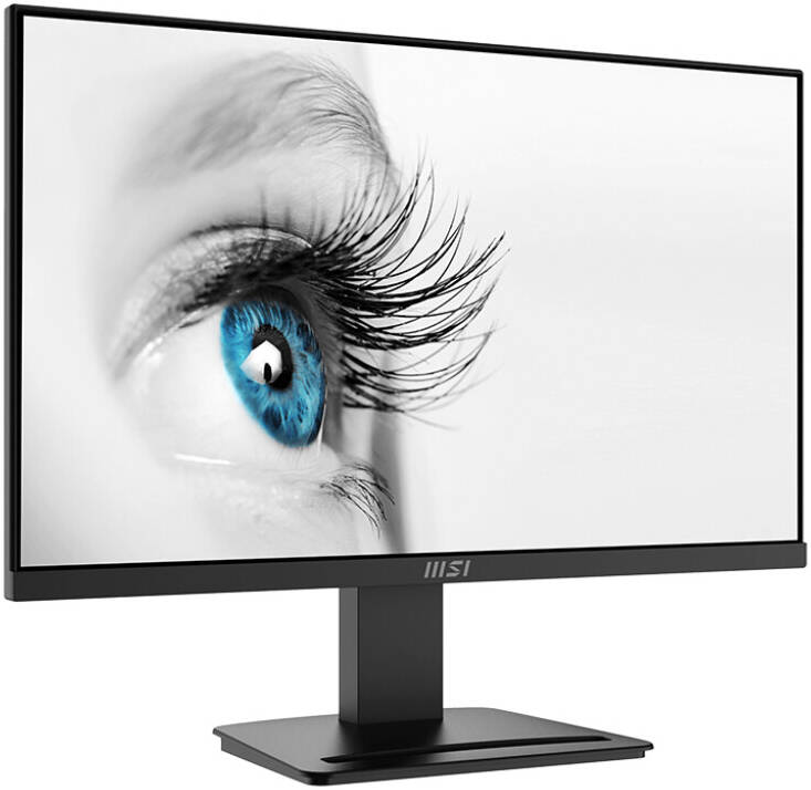 MSI MONITOR - PRO MP2412