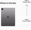 IPad Pro 12.9 2022 256GB Cellular Silver
