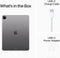 IPad Pro 12.9 2022 256GB Cellular Silver