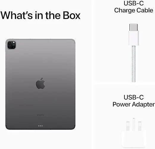 IPad Pro 12.9 2022 256GB Cellular Silver
